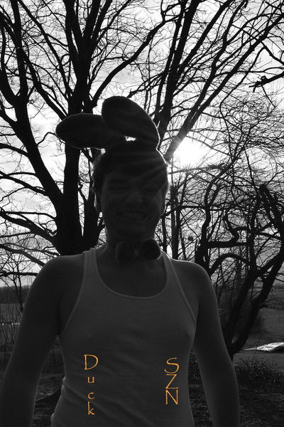 Poster do Filme Duck Season