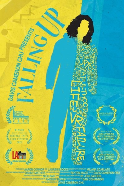 movie poster for Falling Up