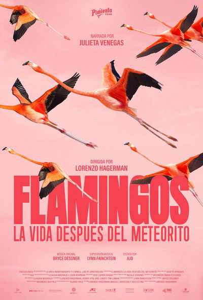Flamingos: Life After the Meteorite