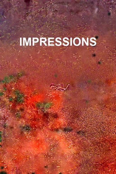 Poster do Filme Impressions