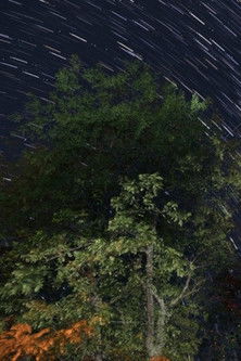 Poster do Filme The Summer Triangle