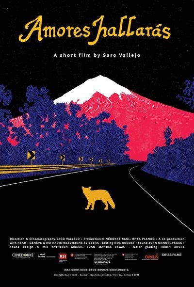 Poster do Filme Amores hallarás