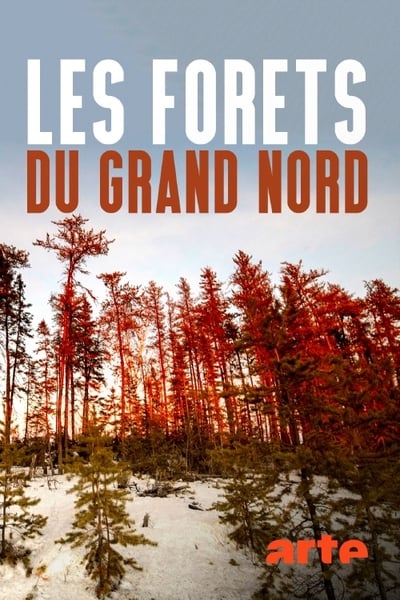 poster Les forêts du Grand Nord