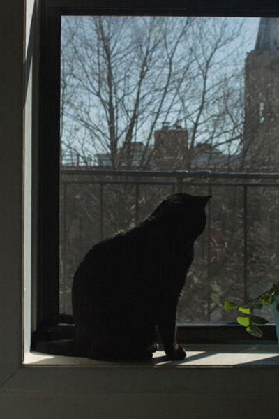 Poster do Filme A Version of the West