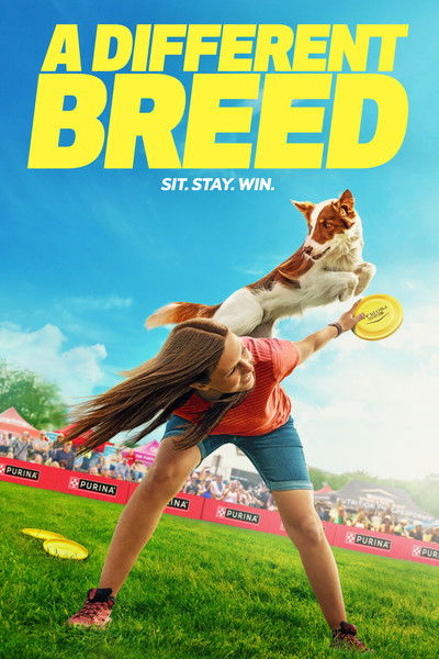 poster for A Different Breed