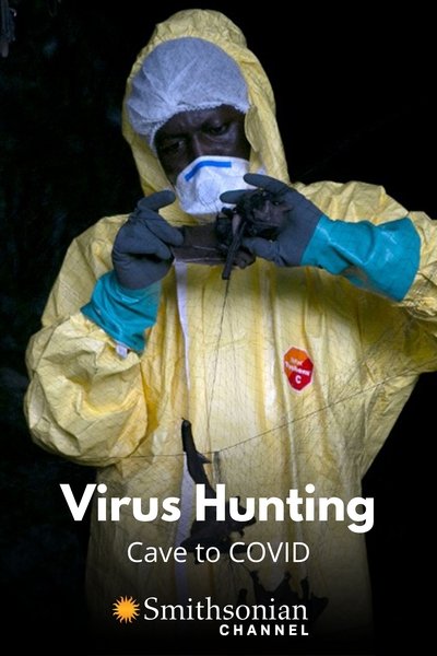 Poster do Filme Virus Hunting: Cave to COVID