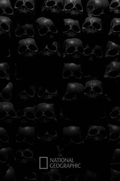 Poster do Filme National Geographic Special: Secret Cities of the Amazon