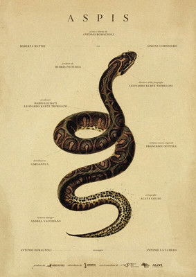 Poster do Filme Aspis