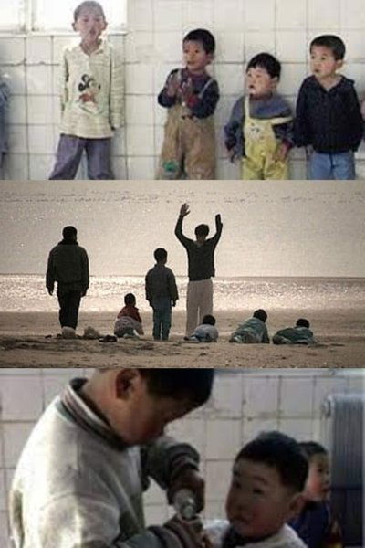 Poster do Filme 野草