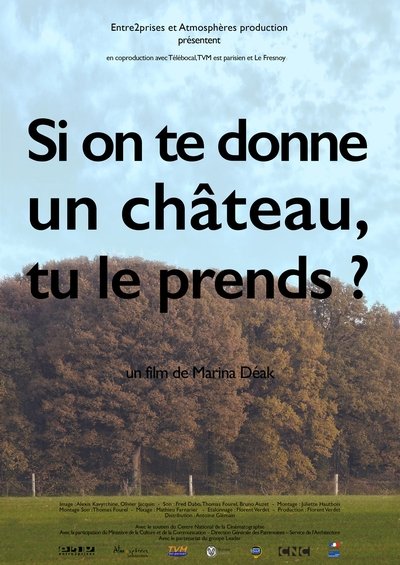 Watch - Si on te donne un château, tu le prends? Full Movie Online 123Movies