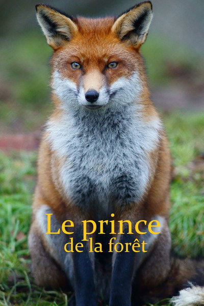 Le Prince de la forêt