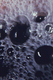 Poster do Filme Igra života