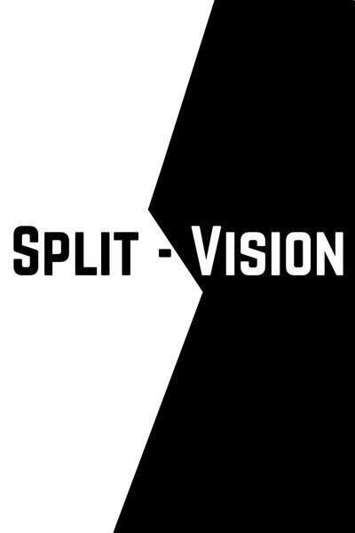 Split-Vision