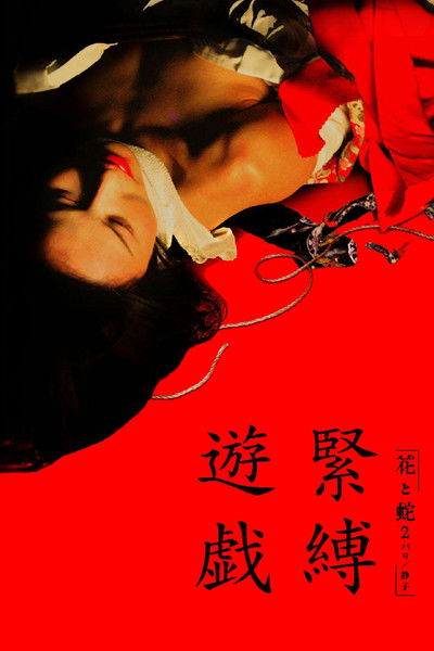 Poster do Filme 花と蛇 2 パリ／静子