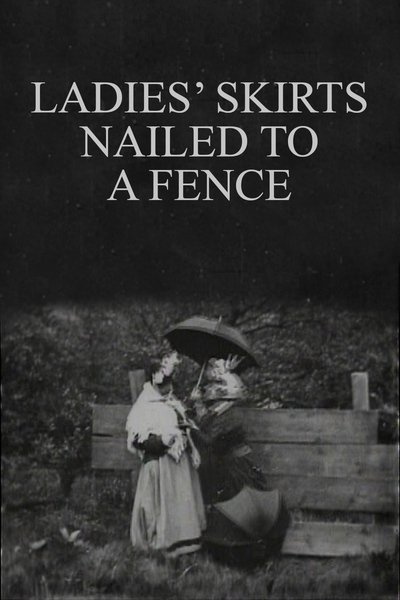 Poster for the movie Ladies' Skirts Nailed to a Fence