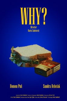 movie poster for Why?