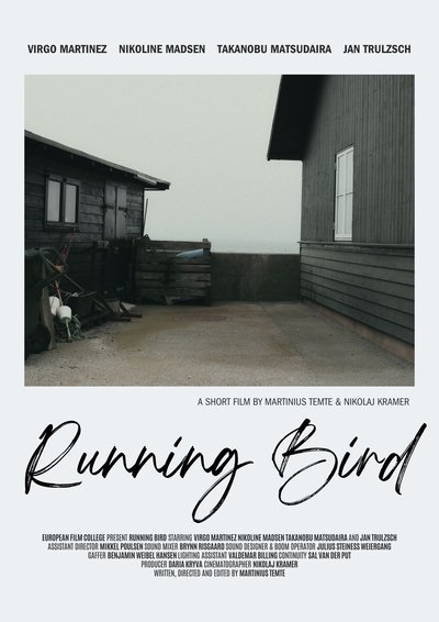 Poster do Filme Running Bird