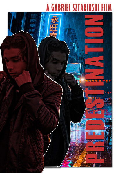 Poster do Filme Predestination