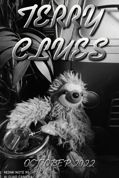 movie poster for Terry Clues