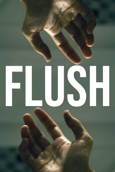movie poster for FLUSH
