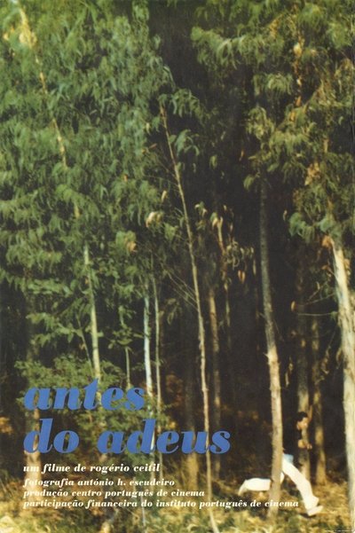 Poster do Filme Antes do Adeus