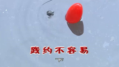Episode 2227