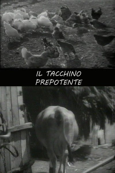 Poster do Filme Il tacchino prepotente