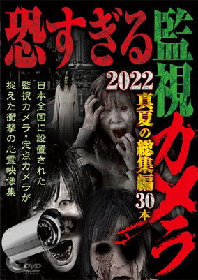 Poster do Filme 恐すぎる監視カメラ 2022 真夏の総集編30本