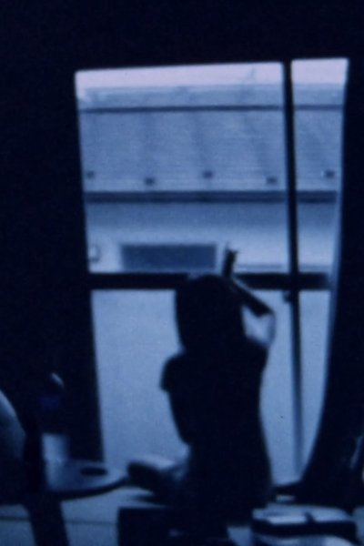 movie poster for Elephant Died
