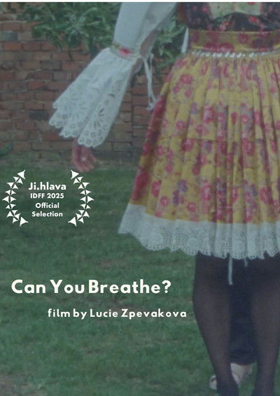 Poster do Filme Můžeš dýchat?