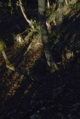 Poster do Filme Akra