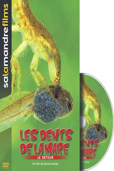 Poster do Filme Les dents de la mare