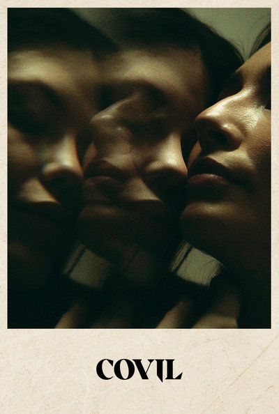 Poster do Filme Covil
