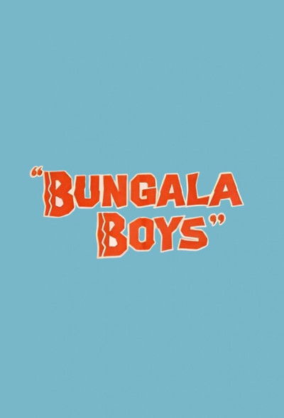 movie poster for Bungala Boys