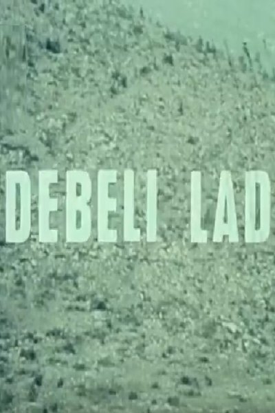 Poster do Filme Debeli lad