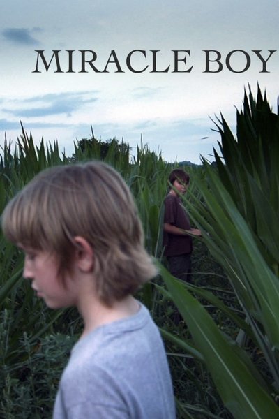 Poster do Filme Miracle Boy