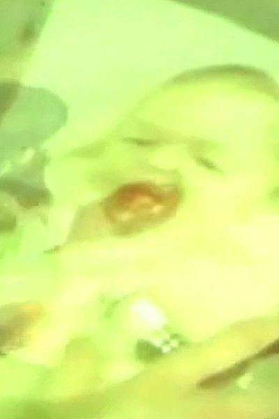 Poster do Filme {Houdini} Séance