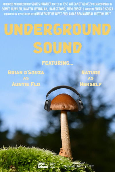 movie poster for Underground Sound