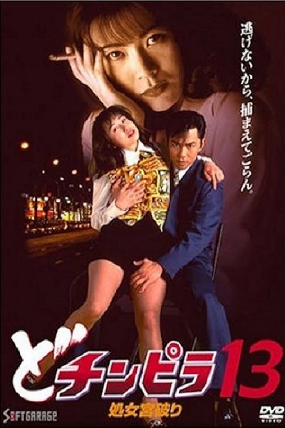 movie poster for Dochinpira 13: Virgin Palace Breaking