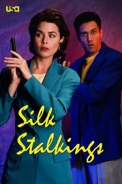 Silk Stalkings TV Show Poster
