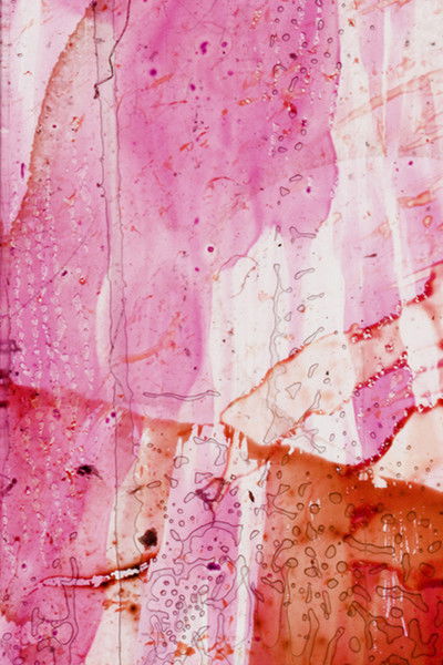 movie poster for Xtended Release