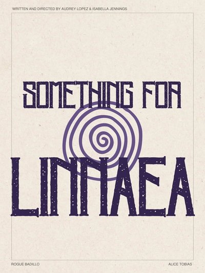 Poster do Filme Something for Linnaea
