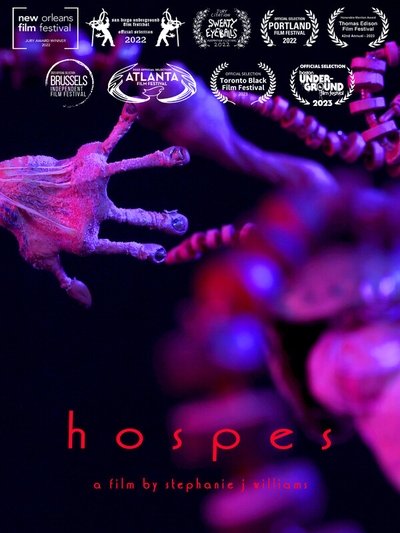 Poster do Filme Hospes