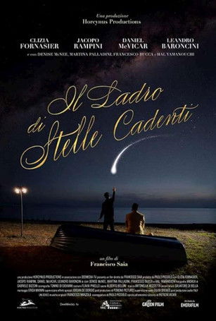 Poster do Filme Il ladro di stelle cadenti