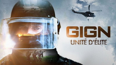  fanart GIGN