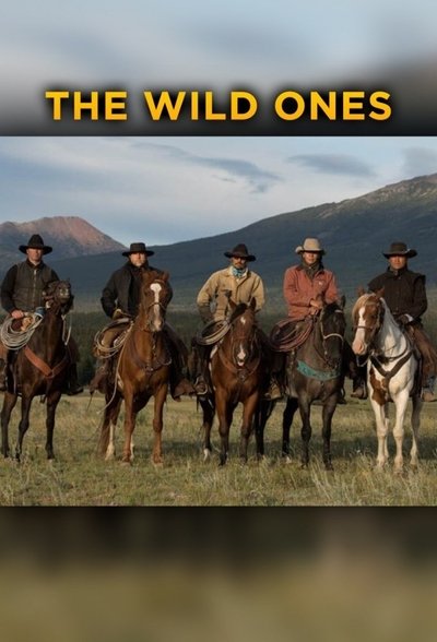 poster for The Wild Ones