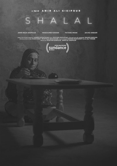 movie poster for Shalal
