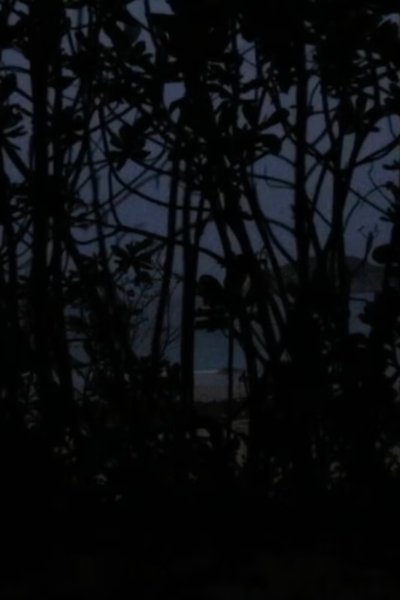 movie poster for From the Void of Time