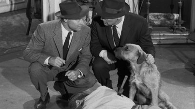 tv poster