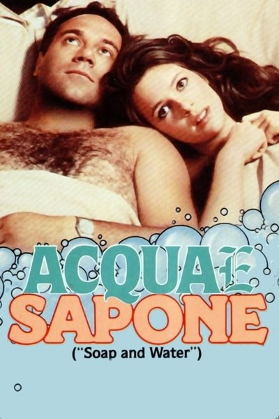 Poster for the movie Soap and Water